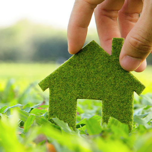 Pest control service-safe-eco-friendly