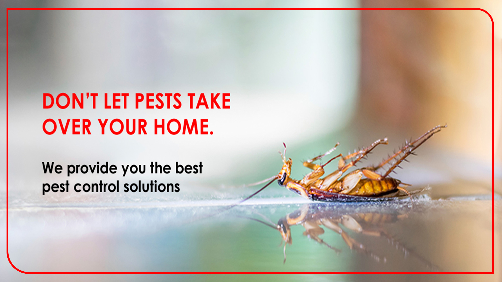 pest-control-service-near-me-banner3
