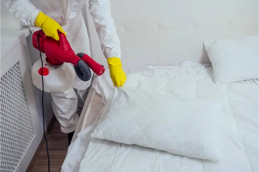 Bed Bug Treatment pest control service