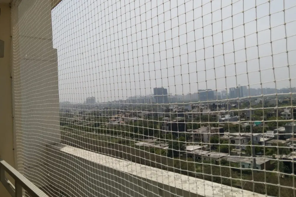 Bird Control - Pigeon Netting & Spikes